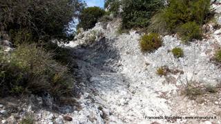 stello marchesa di Cassibile-10-02-2015 19-58-37
